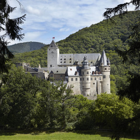 Blick zwischen Bäumen auf Bürresheim, im Hintergrund bewaldete Hügel im Vordergrund eine eingezäunte Wiese